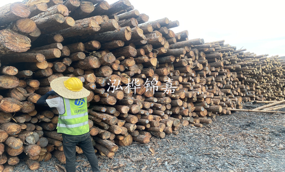 松木樁是什么，松木樁的用途有哪些-松木樁介紹