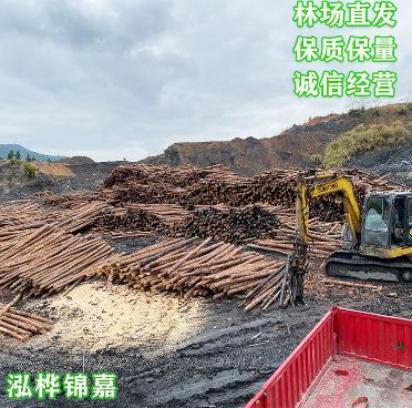  1-8米大型專業定制工地加固原木樁木