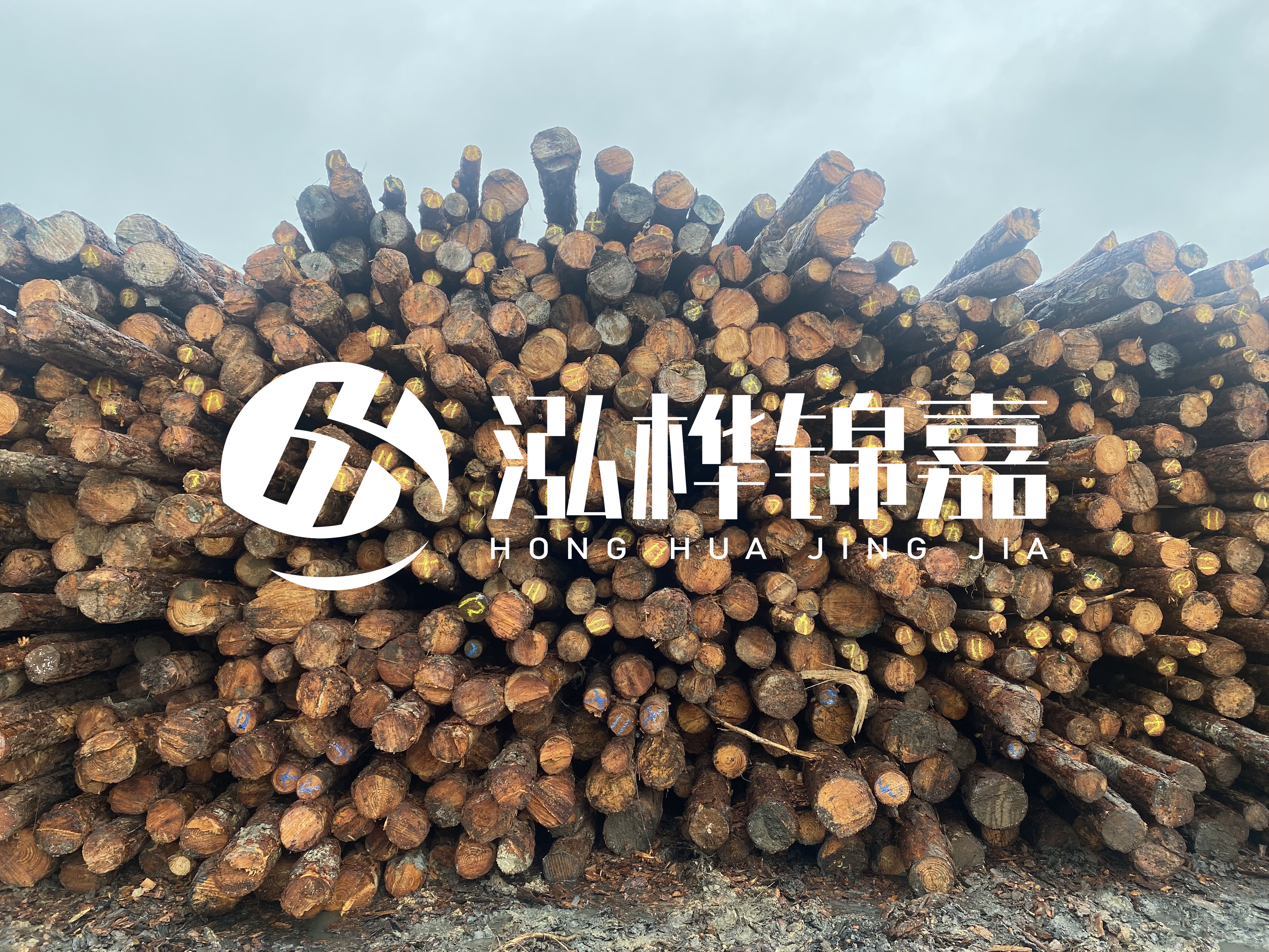 松木樁的直徑一般取多少？