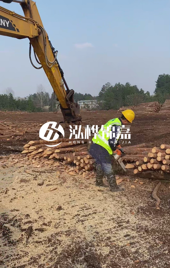 銅陵挖機打木樁專業(yè)施工-打松木樁一般算米還是算根？
