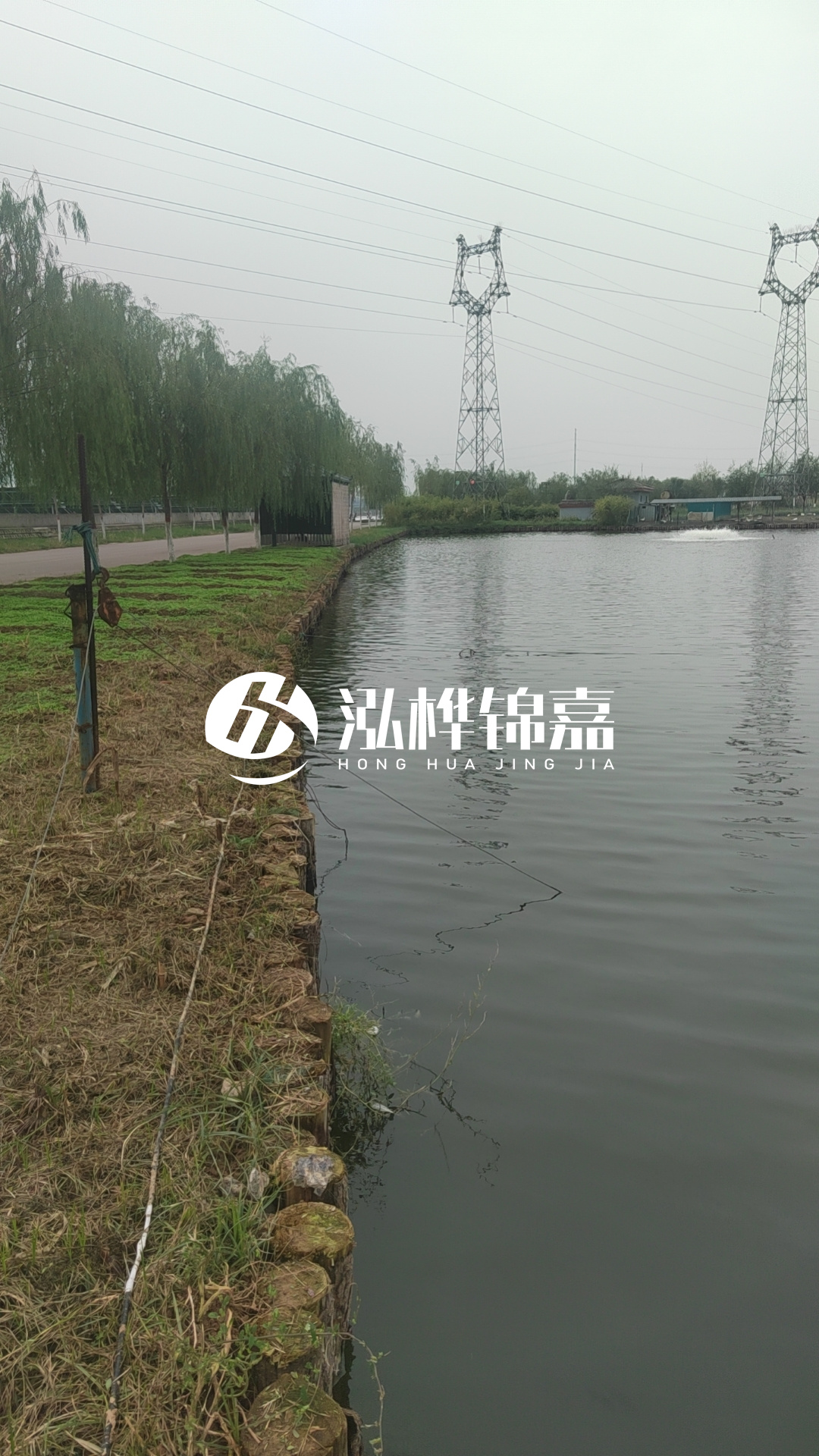 大同河道打松木樁施工-護坡木樁新的好還是舊的？