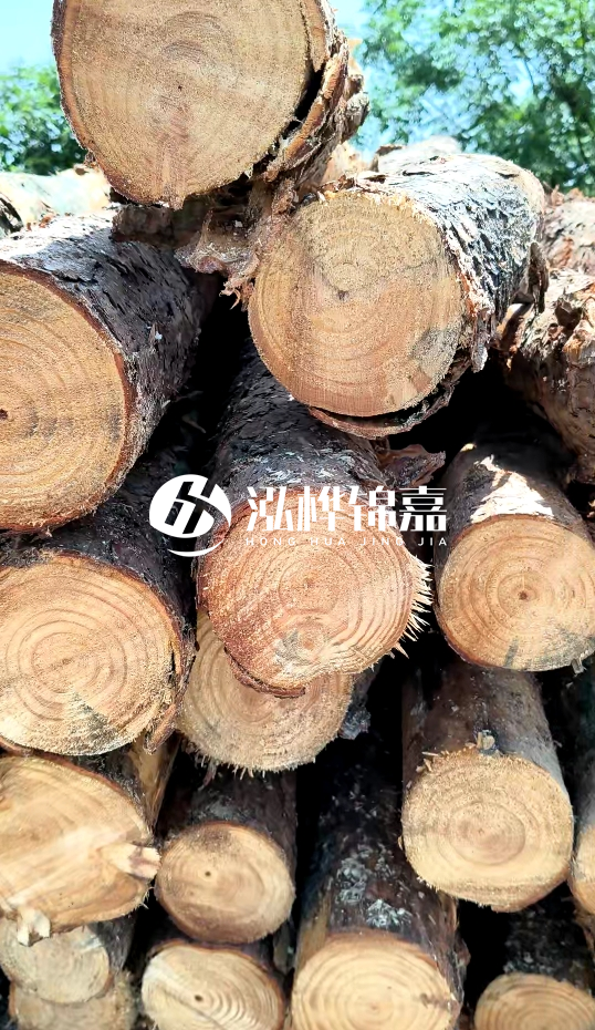 周口挖機打木樁專業(yè)施工-杉木樁施工打樁怎么打？