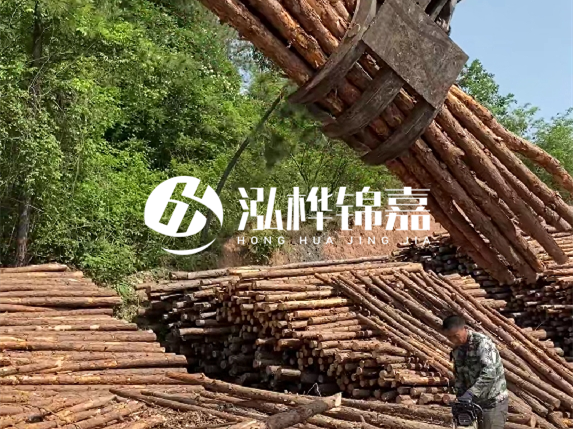 防汛木樁頂部怎么防裂？防汛木樁被洪水沖歪怎么辦？