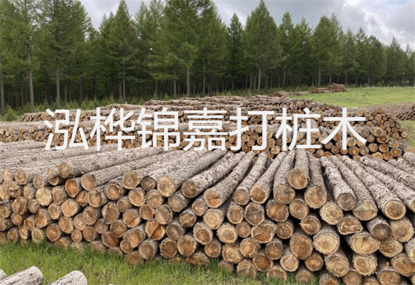 松木樁能施工嗎？探究視頻揭秘真相！