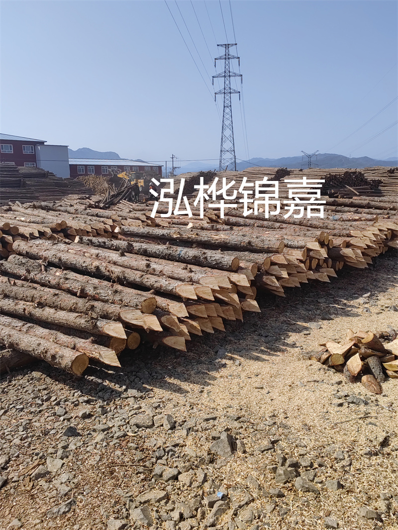 深入了解松木樁基礎(chǔ)施工單價(jià)，助力工程建設(shè)順利進(jìn)行！
