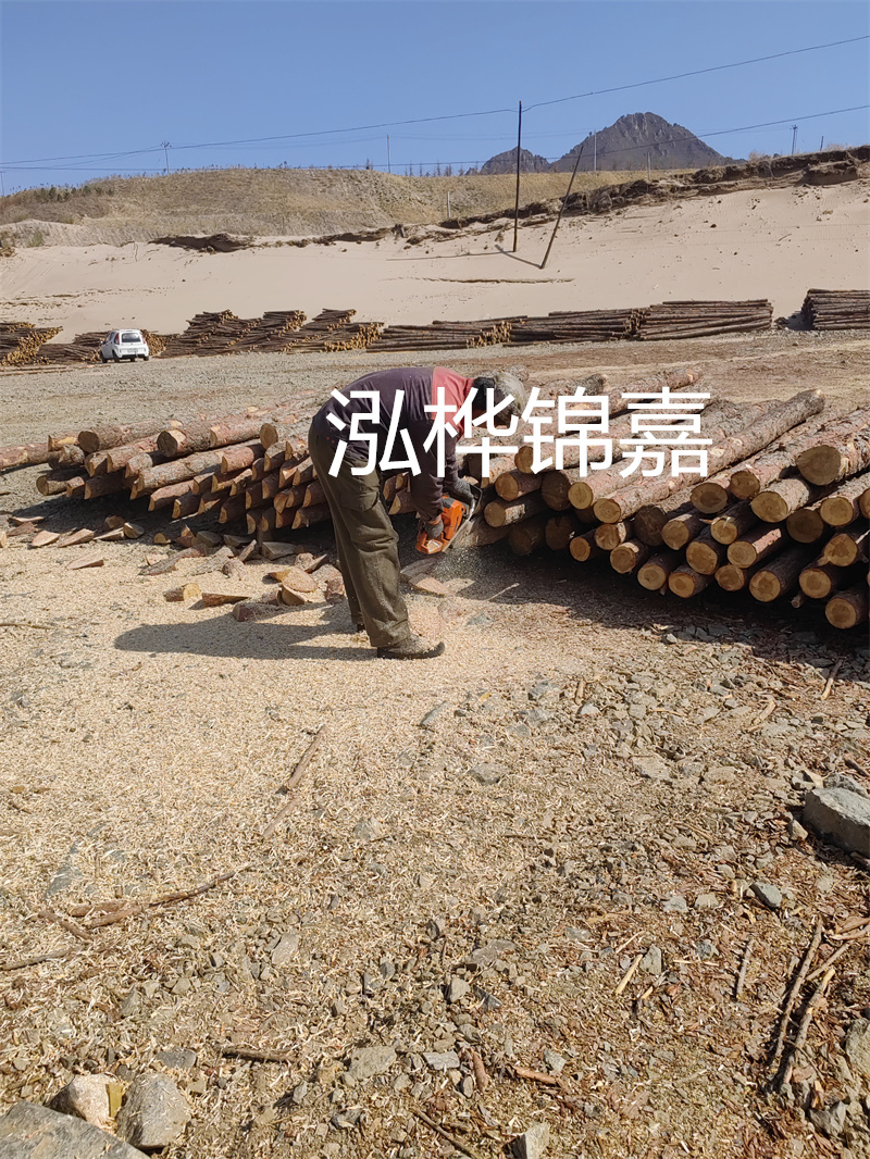 松木樁駁岸施工，打造水上風(fēng)景線